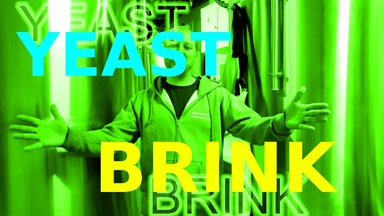 YEAST BRINK!! How To: Microbrewery!