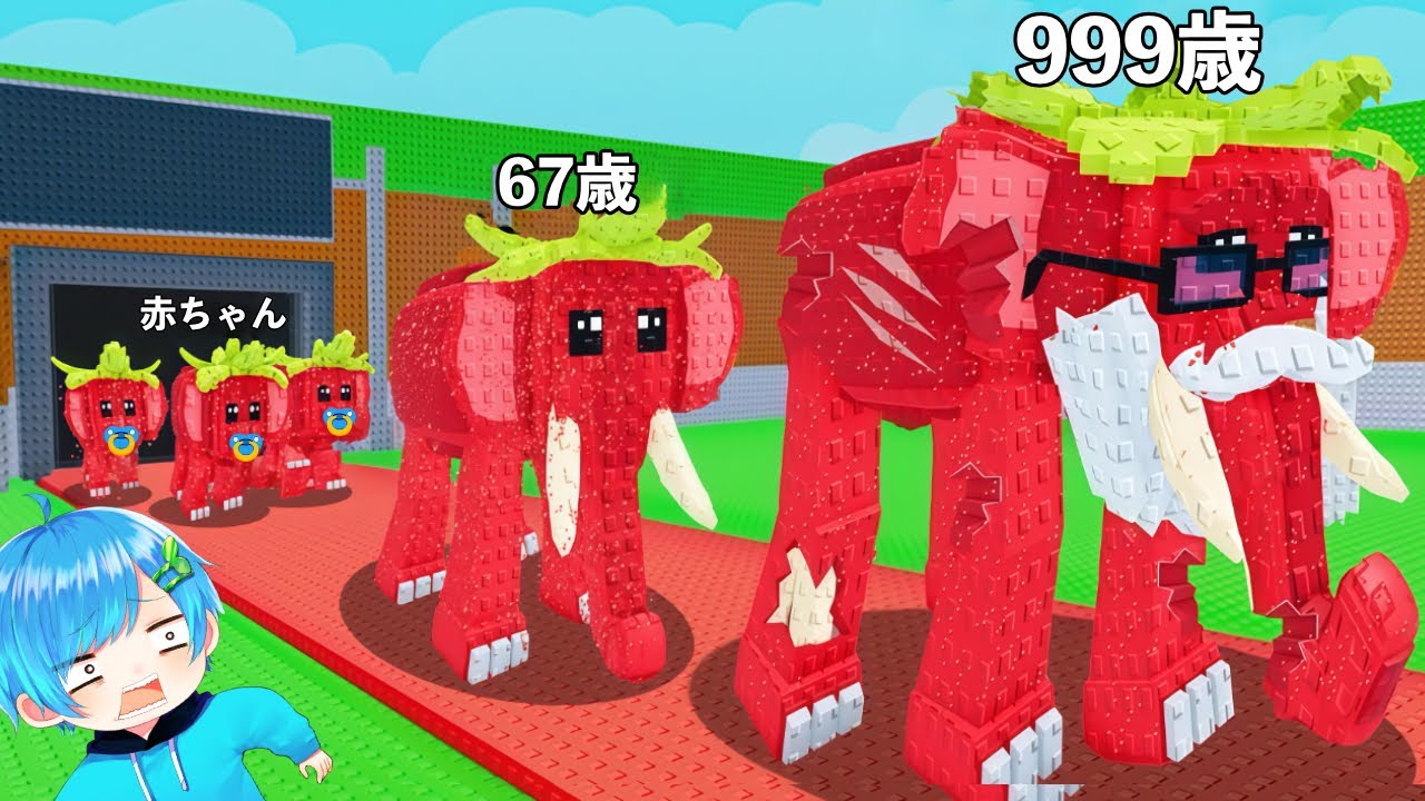 『0歳の赤ちゃん』から『999歳のブレインロット』を育てて盗んだらヤバすぎた..【ロブロックス/roblox】ストロベリーエレファント