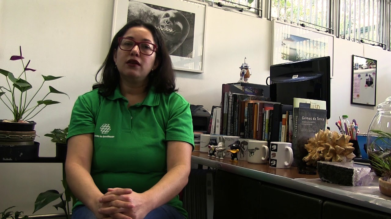 Litoteca - Museu de Geociências USP