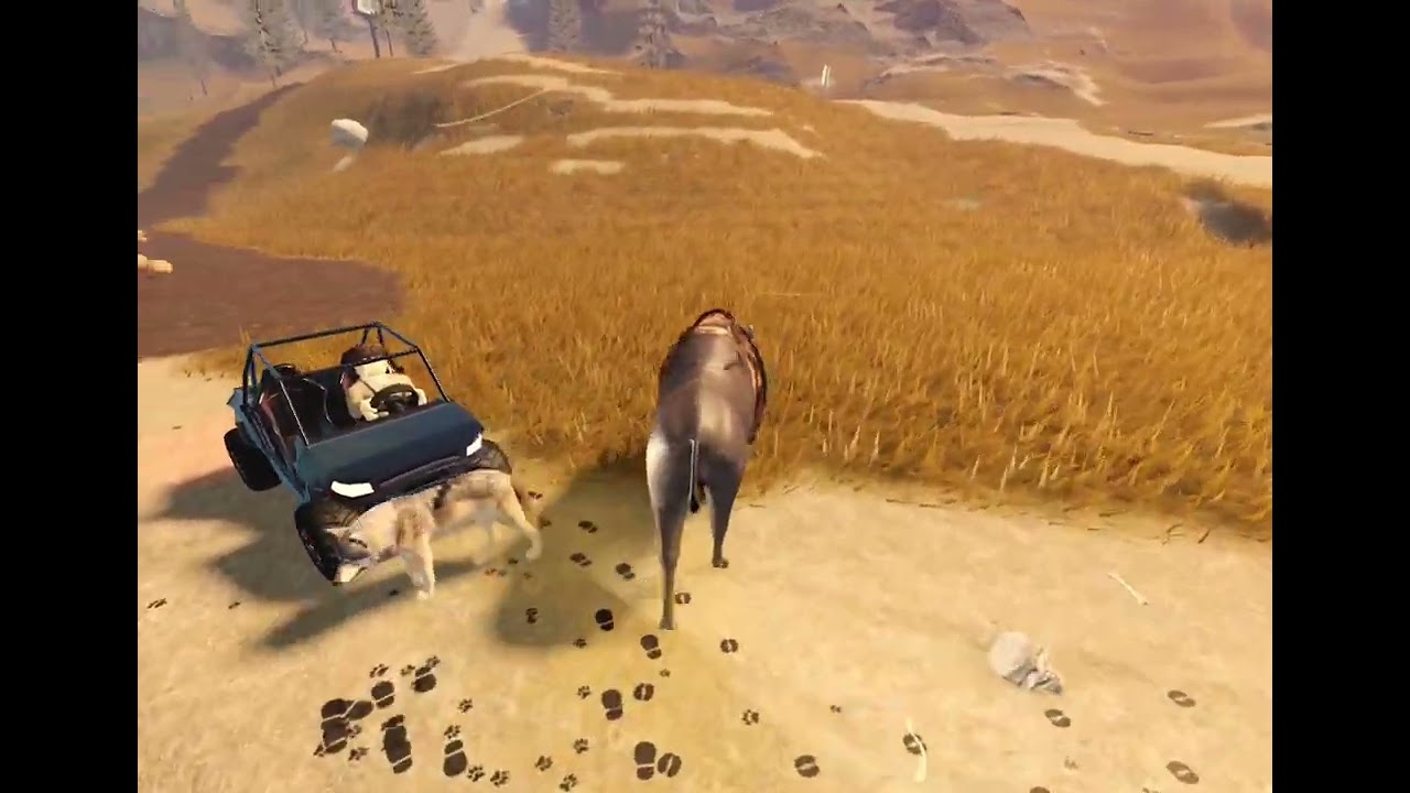 The Bison on the Morph is here.