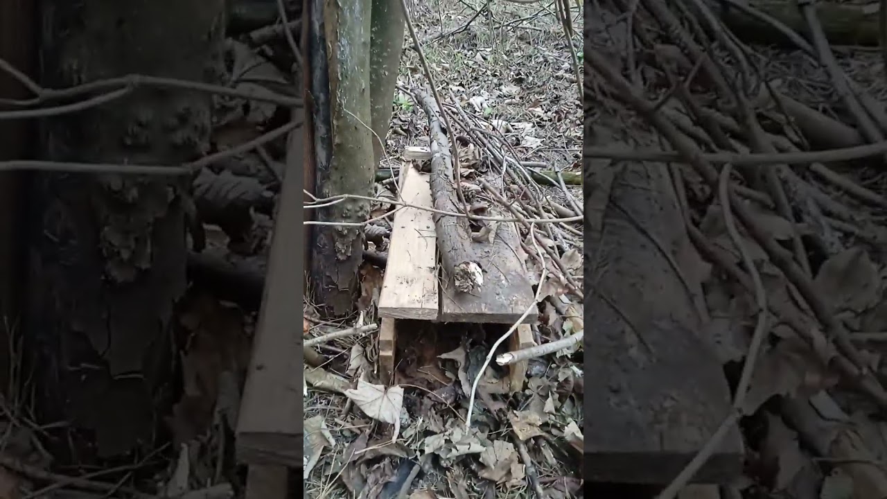 провіраю капкани
