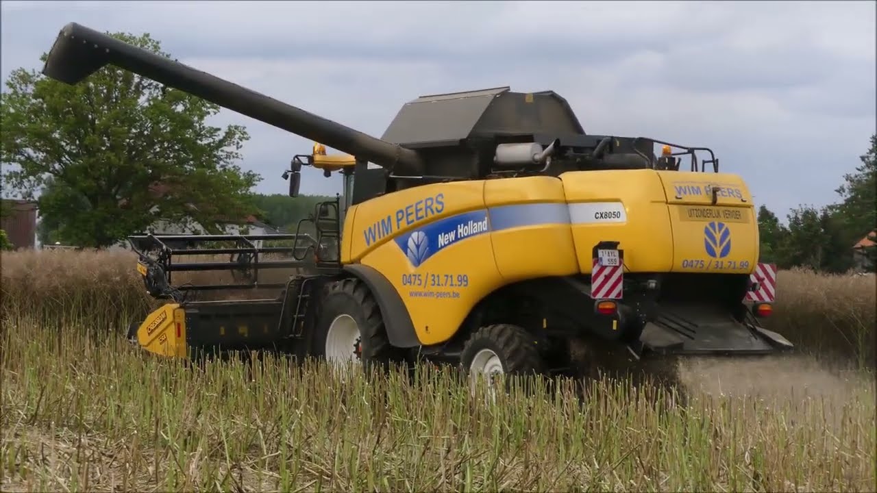 Wim Peers koolzaad dorsen 2023 , New Holland CX 8050