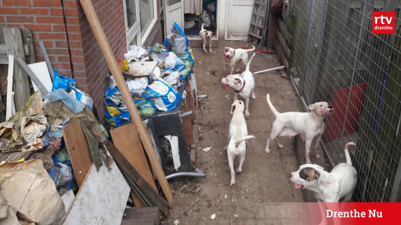 Buurman verwaarloosde honden: Dat beeld vergeet ik nooit weer