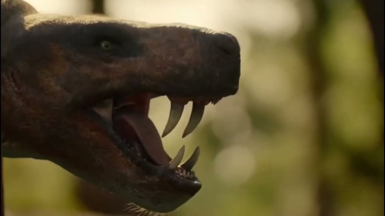Life on our Planet: Gorgonopsid Vs Scutosaurus(RESOUNDED)
