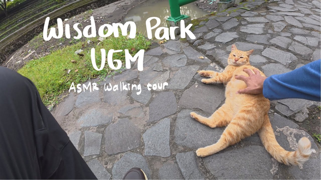 Relaxing Walk at Wisdom Park UGM (Cat Encounter) - Yogyakarta 2.7k 60fps ASMR