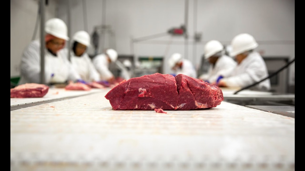 Beef or BS? They Feed Us A Bunch of Bull! Diseased Truth Meat Industry DOES NOT WANT YOU TO KNOW!