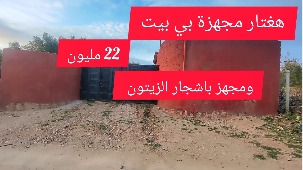 فيرما للبيع مجهزه بالاشجار ديال الزيتون مجهزه بالماء ومجهزه البيت فقط 22 مليون المساحه ديالها هكتار