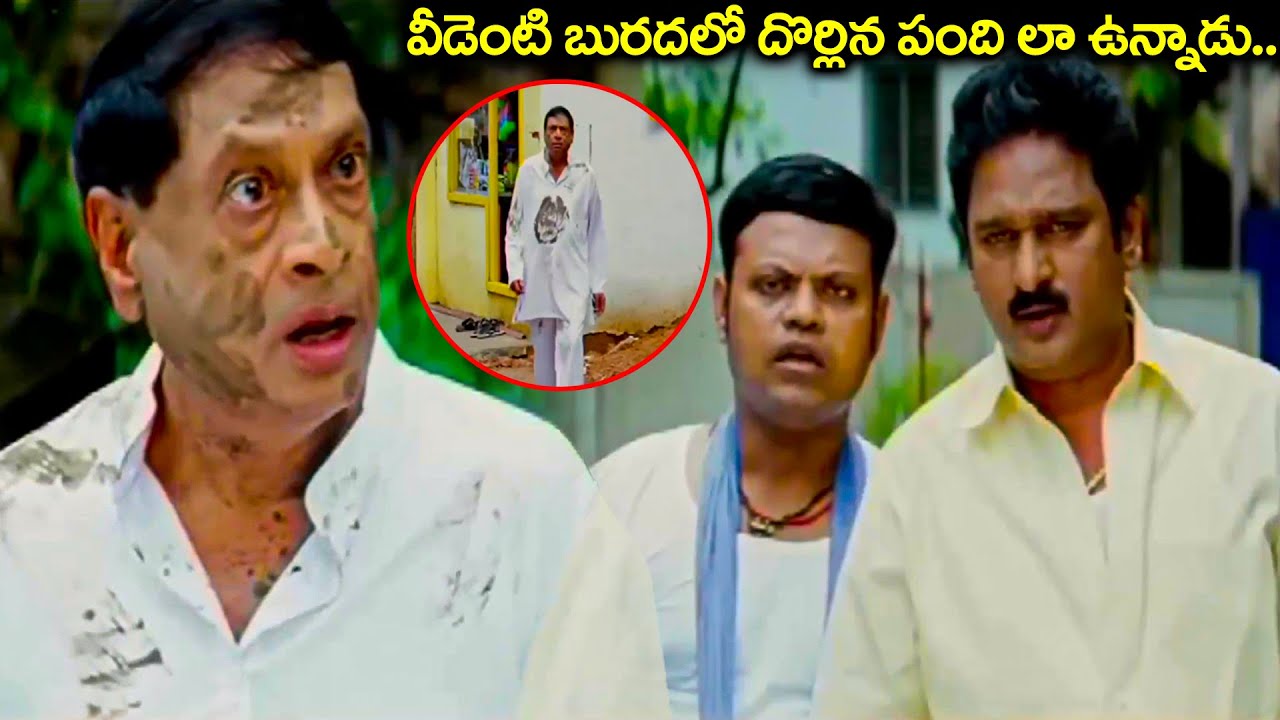 Krishna Bhagvaan & M S Narayana Evergreen Comedy | Telugu Movie Comedy Scenes Back To Back