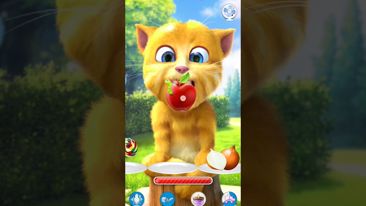 talking ginger eating food 🍎🍎🍎 #gingercat #cat #eating