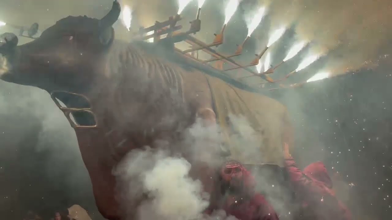 Bou Tradicional de Valls 2024