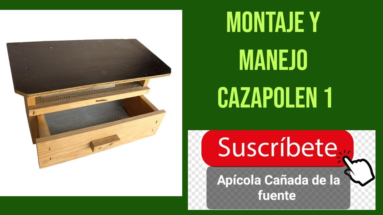 Caza Polen 1