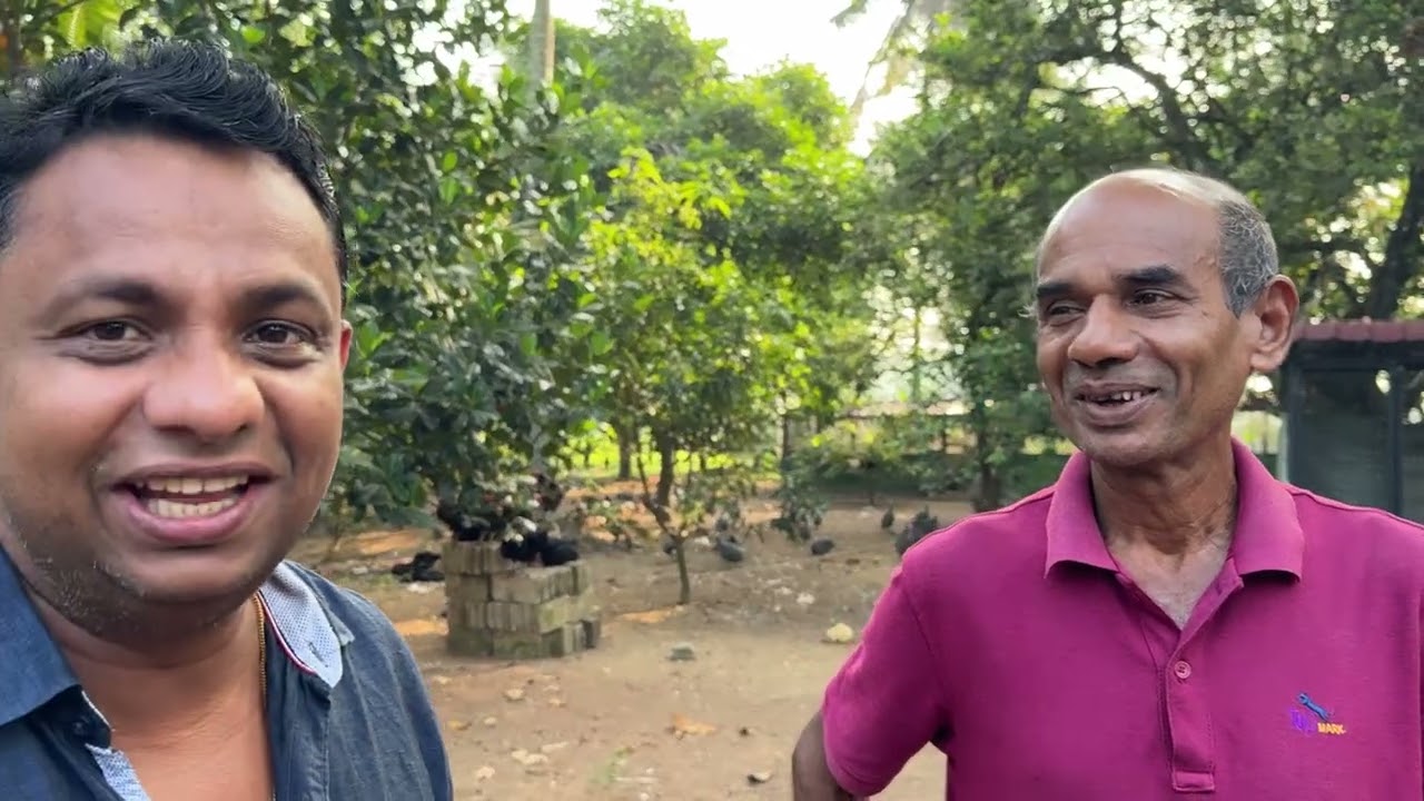 නවරත්න කඩේ 0769767038 අපේ ගොවිපලේ සියලුම නිෂ්පාදන මිල දී ගත හැක...❤️❤️