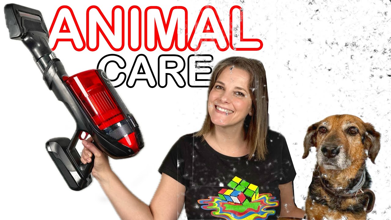 NO MÁS PELOS de mascotas en casa Rowenta X-Force Flex 12.60 Animal Care