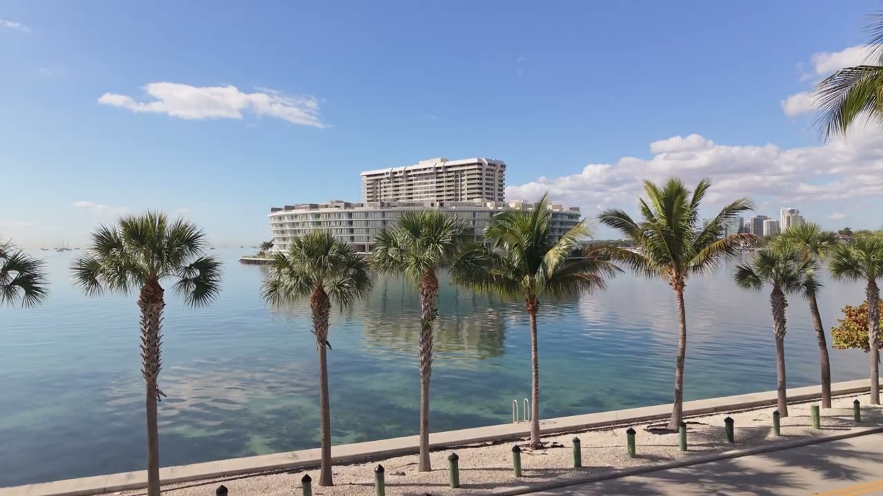 Coconut Grove Feb 9 2026