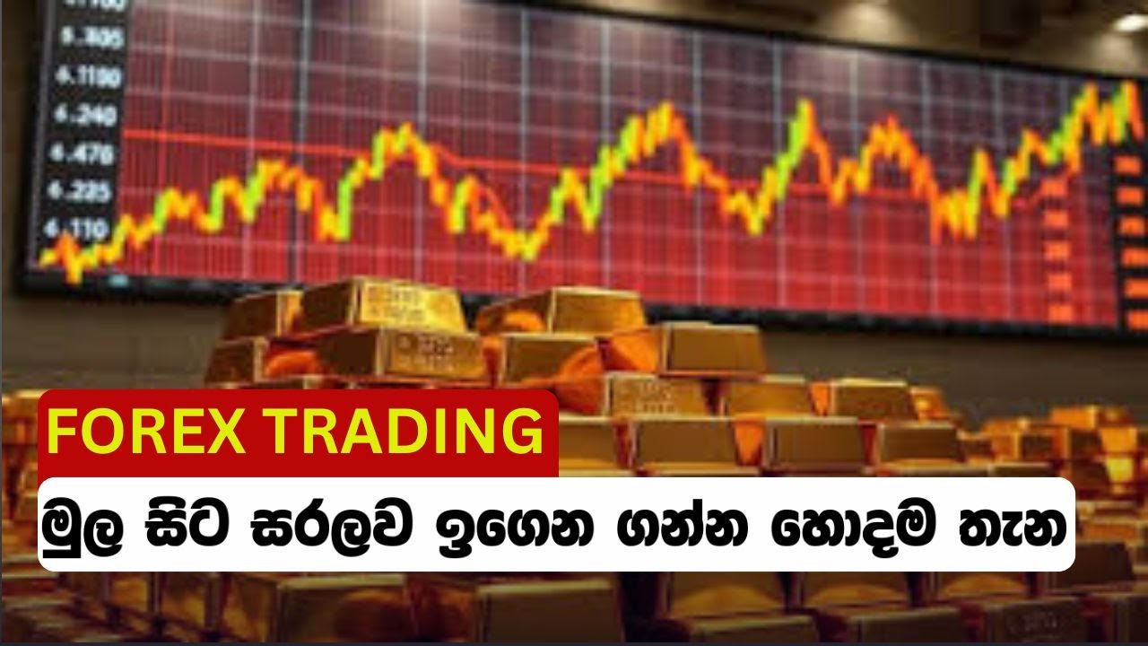 Forex Trading මුළ සිට සරලව ඉගෙන ගන්න සුපිරිම තැන