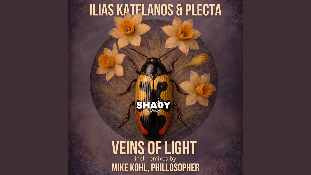 Veins of Light (Phillosopher Remix)