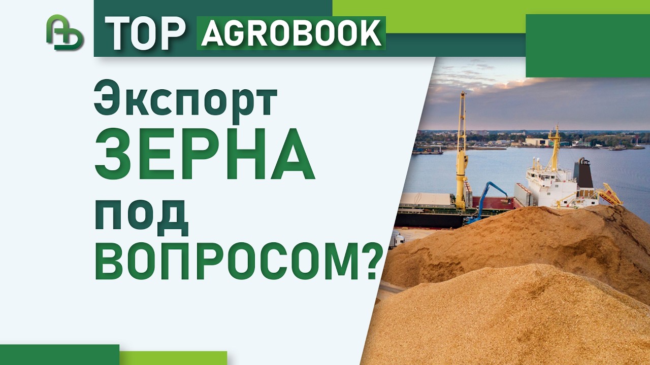 New attacks in the Black Sea. Is grain export in jeopardy? | TOP Agrobook: agricultural news review