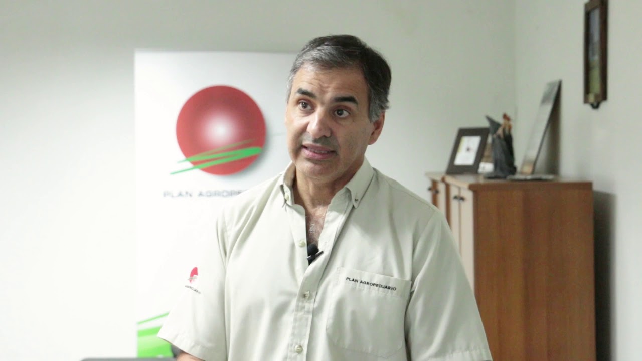 La incidencia de la mosca de la bichera (miasis) durante el verano