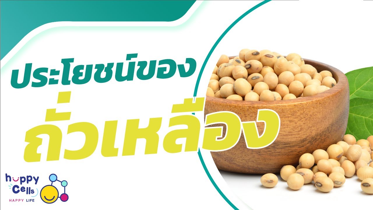 Happy Cells Happy Life : ประโยชน์ของถั่วเหลือง by พญ.อโนชา เพชรรัตน์