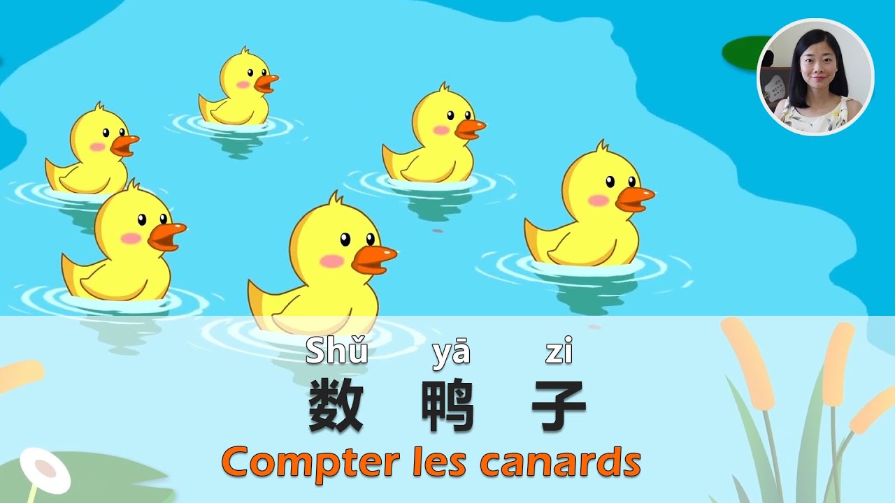 🎵 Apprendre le chinois avec une comptine chinoise (HSK2-3) | avec le pinyin et la traduction | 数鸭子