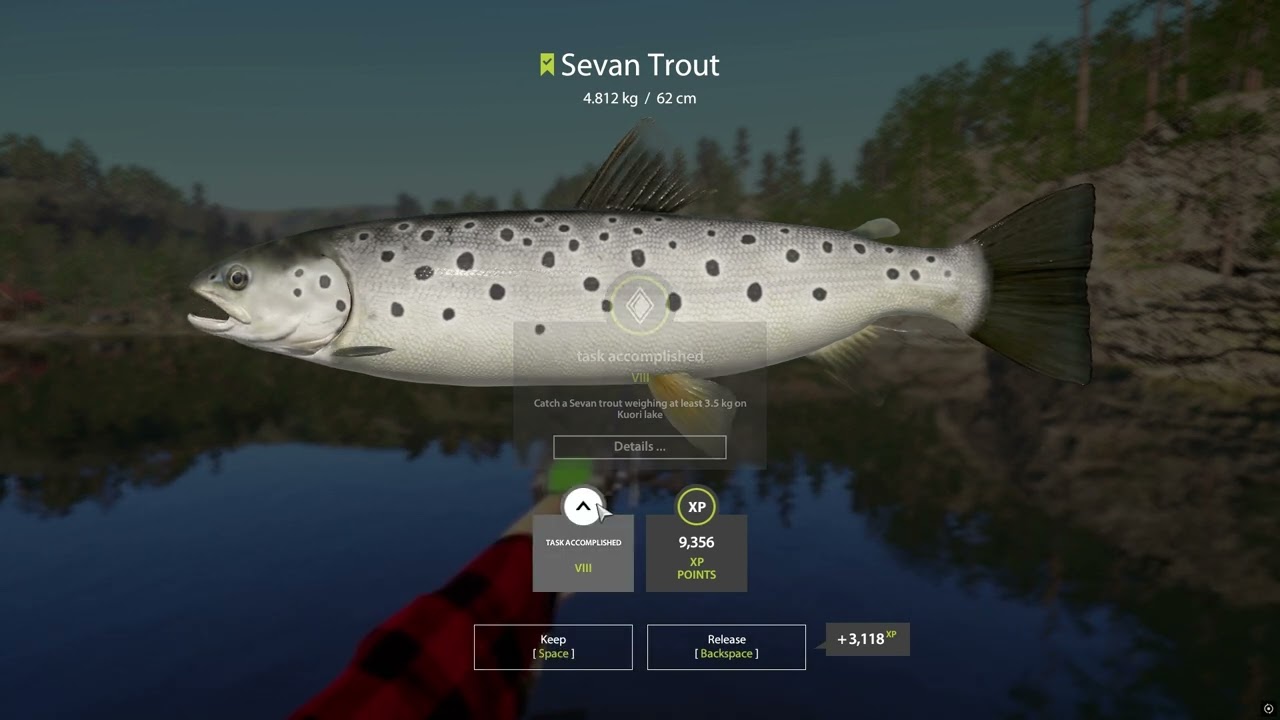 Stage 6 - Sevan Trout / Kuori lake