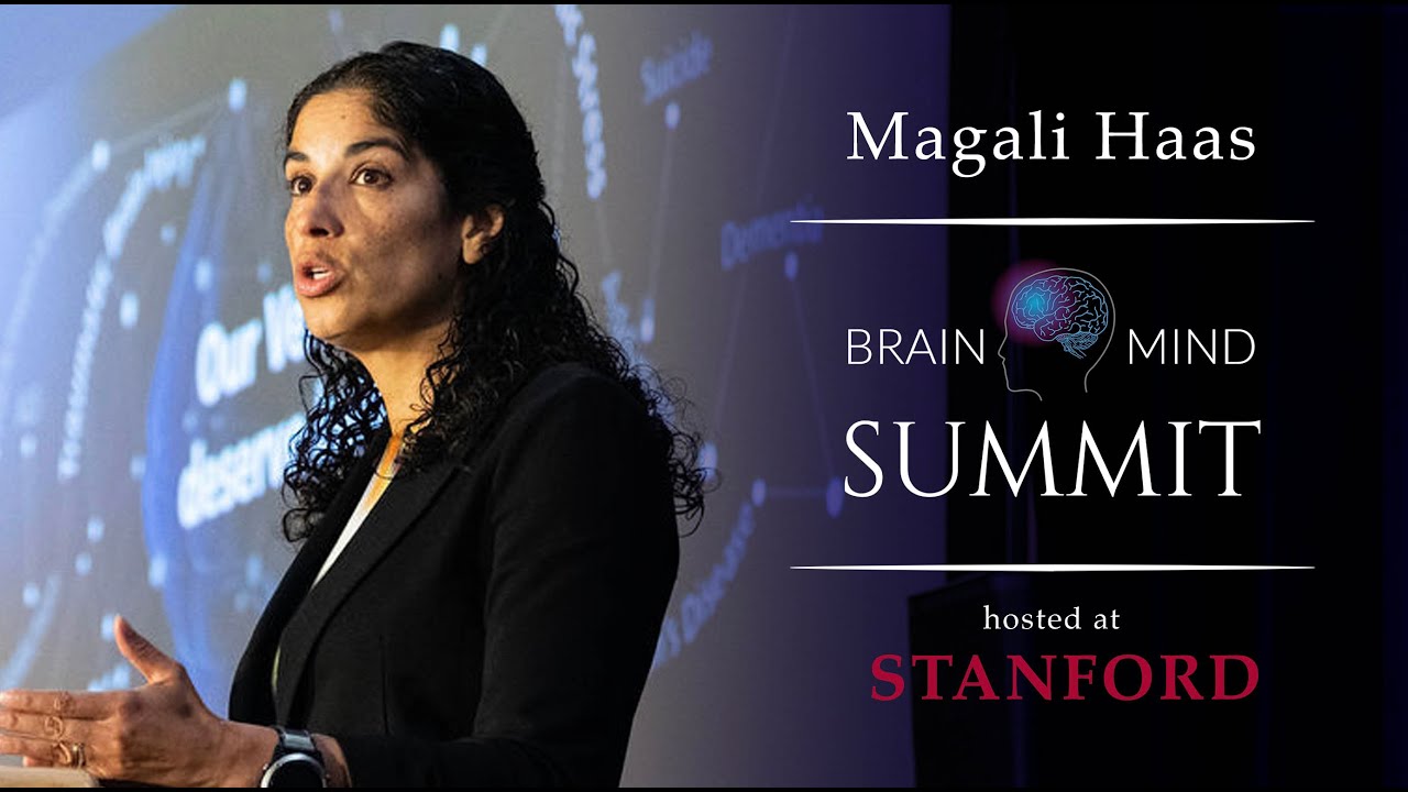 Magali Haas - The e-Brain Model