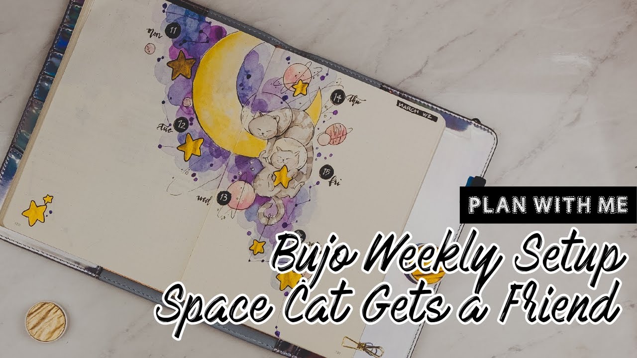 Plan With Me | Bujo Weekly - Space Cat Gets a Friend