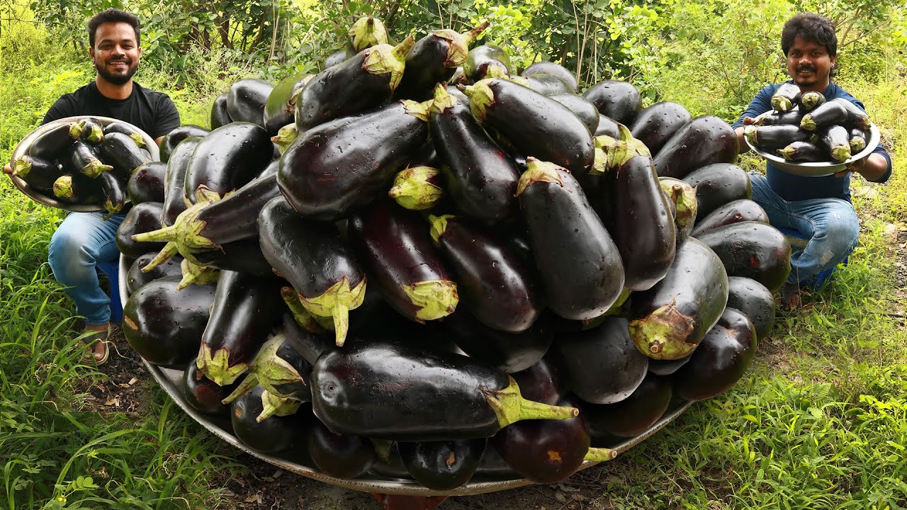 GIANT BRINJAL BIRYANI | Traditional EGGPLANT BIRYANI Recipe by Grandpa Kitchen