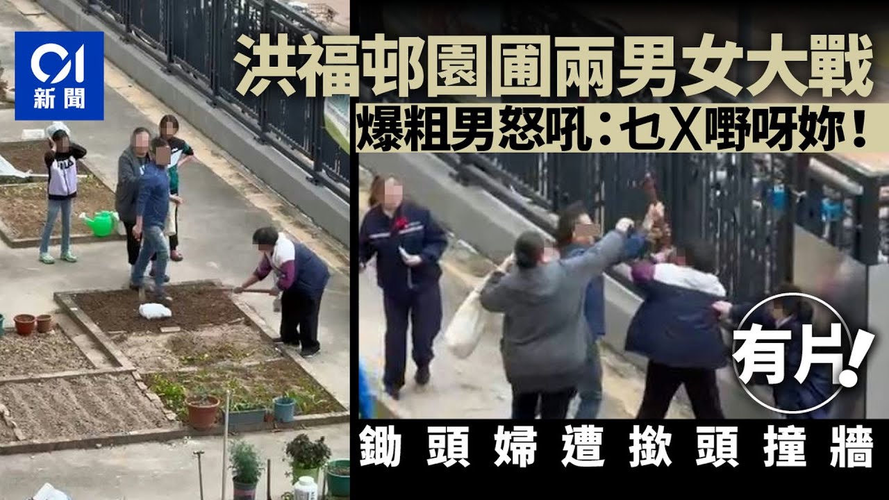 【01秒看新聞】洪福邨園圃兩男女大戰　爆粗男孔武有力　鋤頭婦遭撳頭撞牆｜01新聞｜園圃｜洪福邨｜鋤頭婦｜元朗｜洪水橋