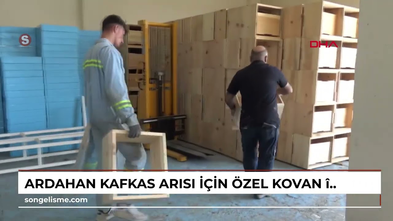 ARDAHAN Kafkas Arısı için özel kovan üretiliyor