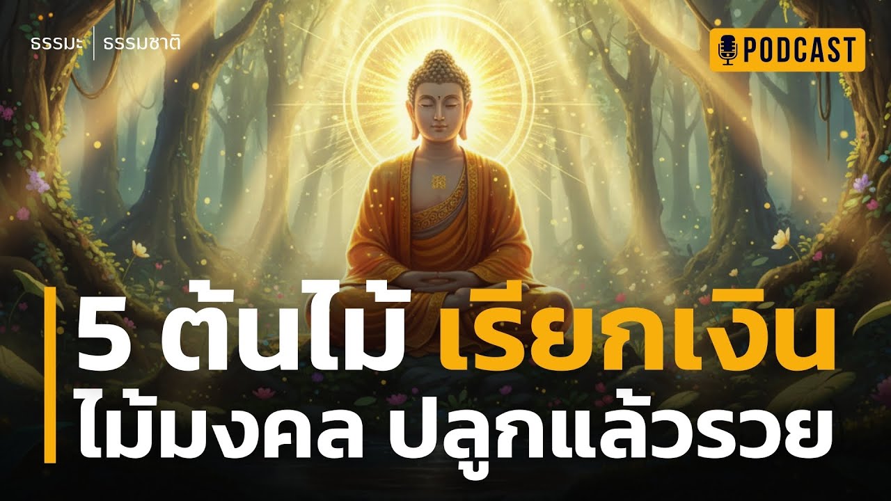 5 ต้นไม้ เรียกเงิน ไม้มงคล ปลูกแล้วรวย | ต้นไม้เรียกทรัพย์ ปลูกแล้วรวยจริง! เคล็ดลับดึงดูดเงินทอง