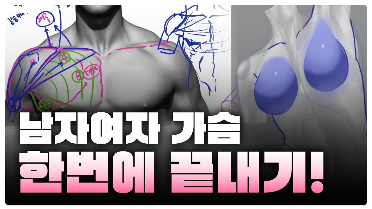 이건 첫번째 레슨~🎶자연스러운 가슴 그리기👙