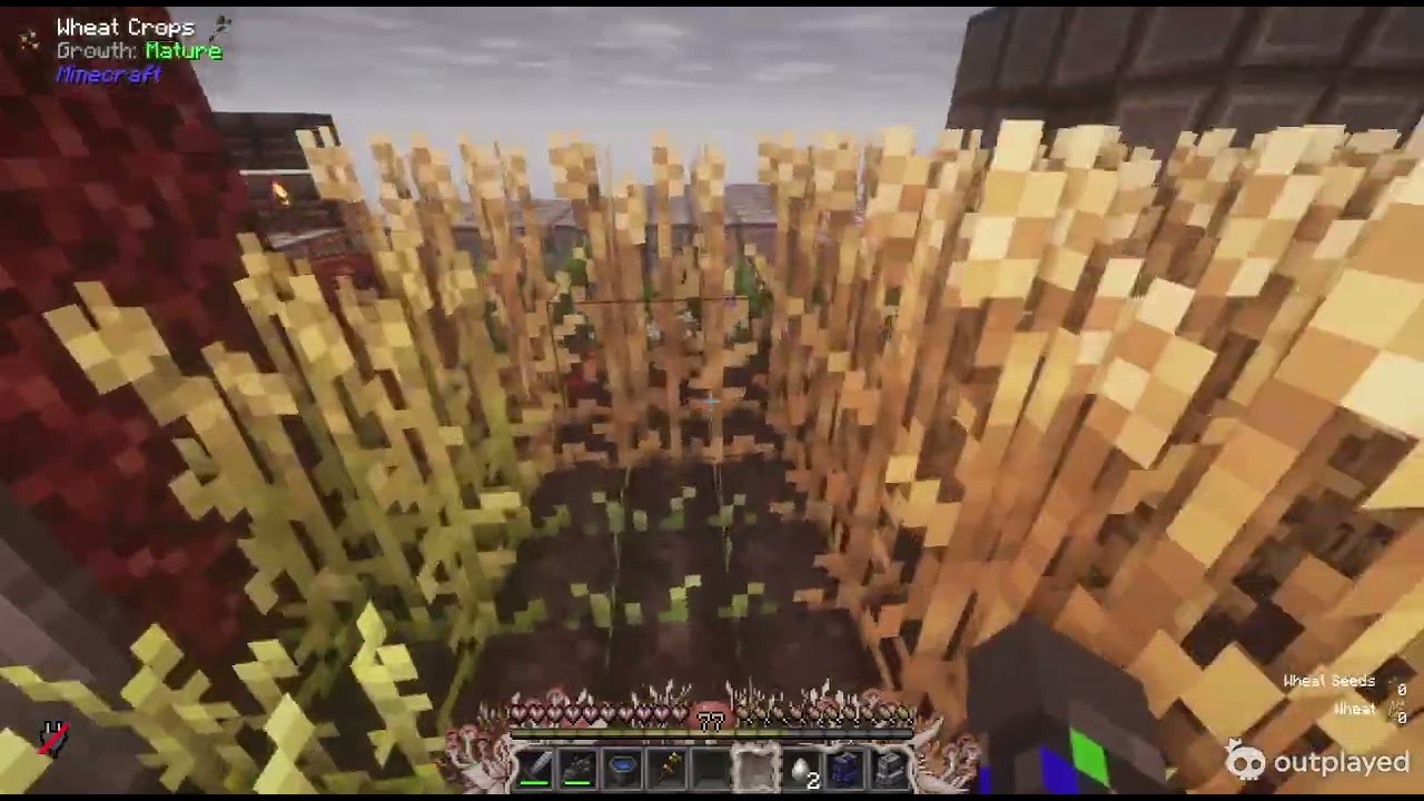 Minecraft Java Fungal  Infection Modpack server