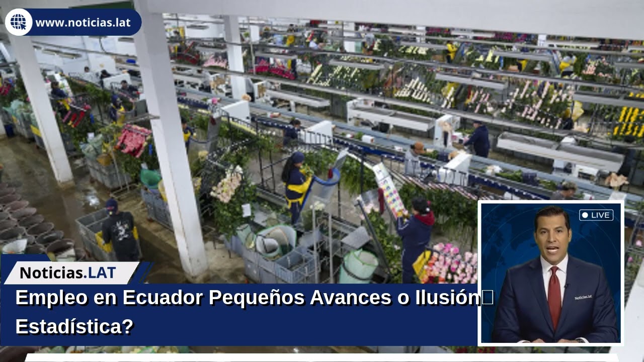 Empleo en Ecuador: ¿Pequeños Avances o Ilusión Estadística?