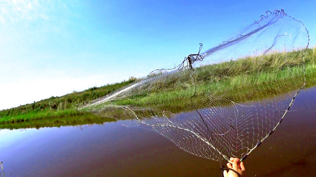 УДАЧНАЯ РЫБАЛКА НА КАСТИНГОВУЮ СЕТЬ/CASTING NET FISHING