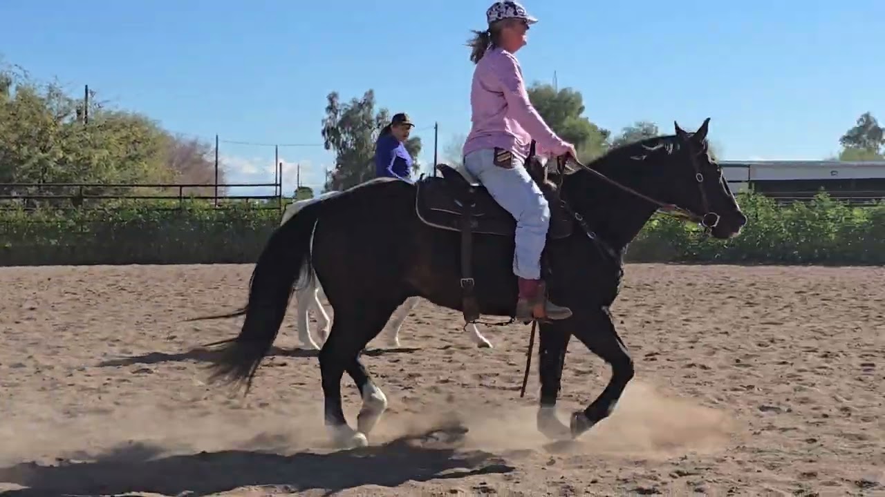 Gina2