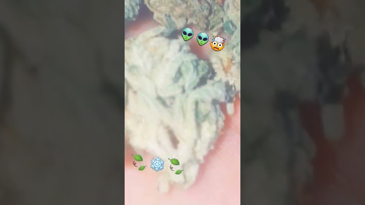 #highasf #420 #greenstuff