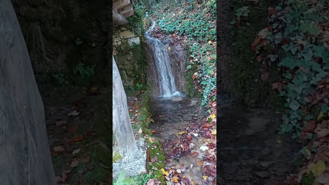 sedano burgos casa  de miguel delibes y alrededores.. su cipres.la sombra del ciprés es alargada.!!