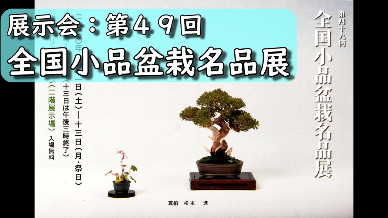 展示会：第４９回全国小品盆栽名品展