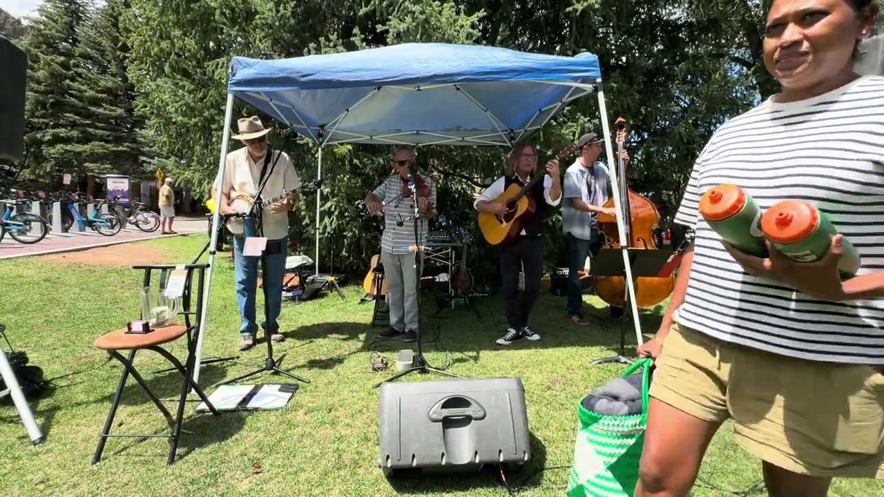 Buffalo Joe Bluegrass Aspen Community Picnic