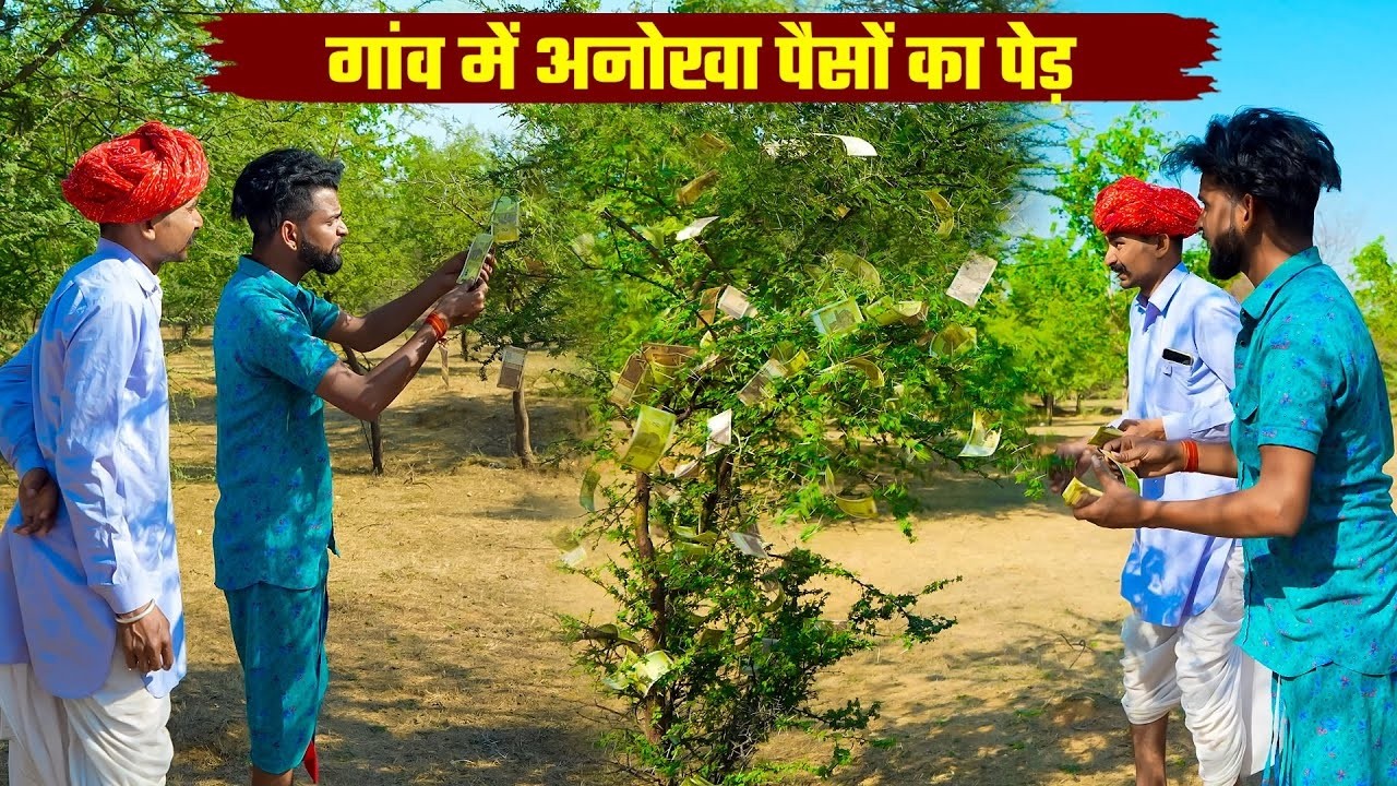 गांव में अनोखा पैसों का पेड़ || बोध्या और दादा को होग्यो दिमाक ख़राब || New Rajasthani Funny Video