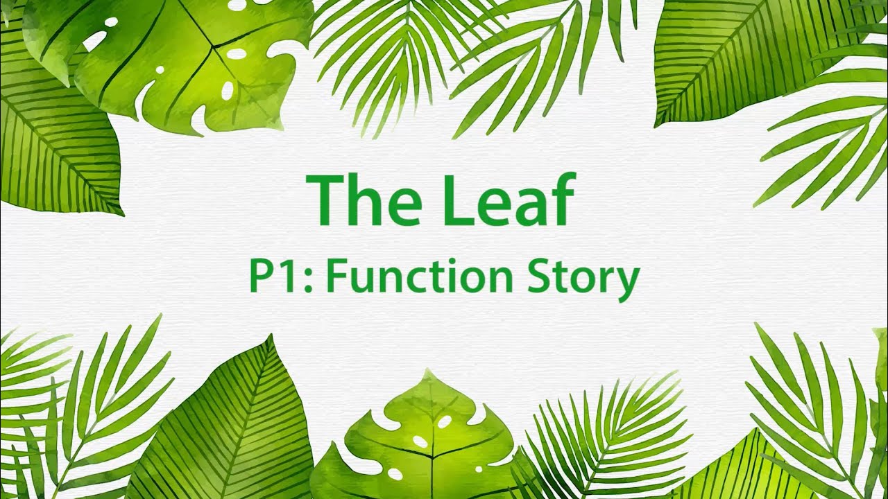 Montessori Elementary: The Leaf (Presentation 1 - Function Story)