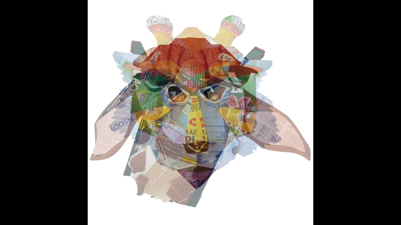 packaging collage animals