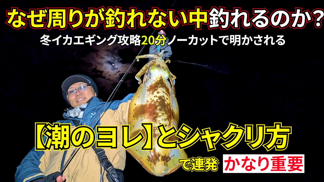 これを知らないと損。冬のアオリイカを潮のヨレで仕留める「20分ノーカット」の技術【冬イカエギング攻略法】