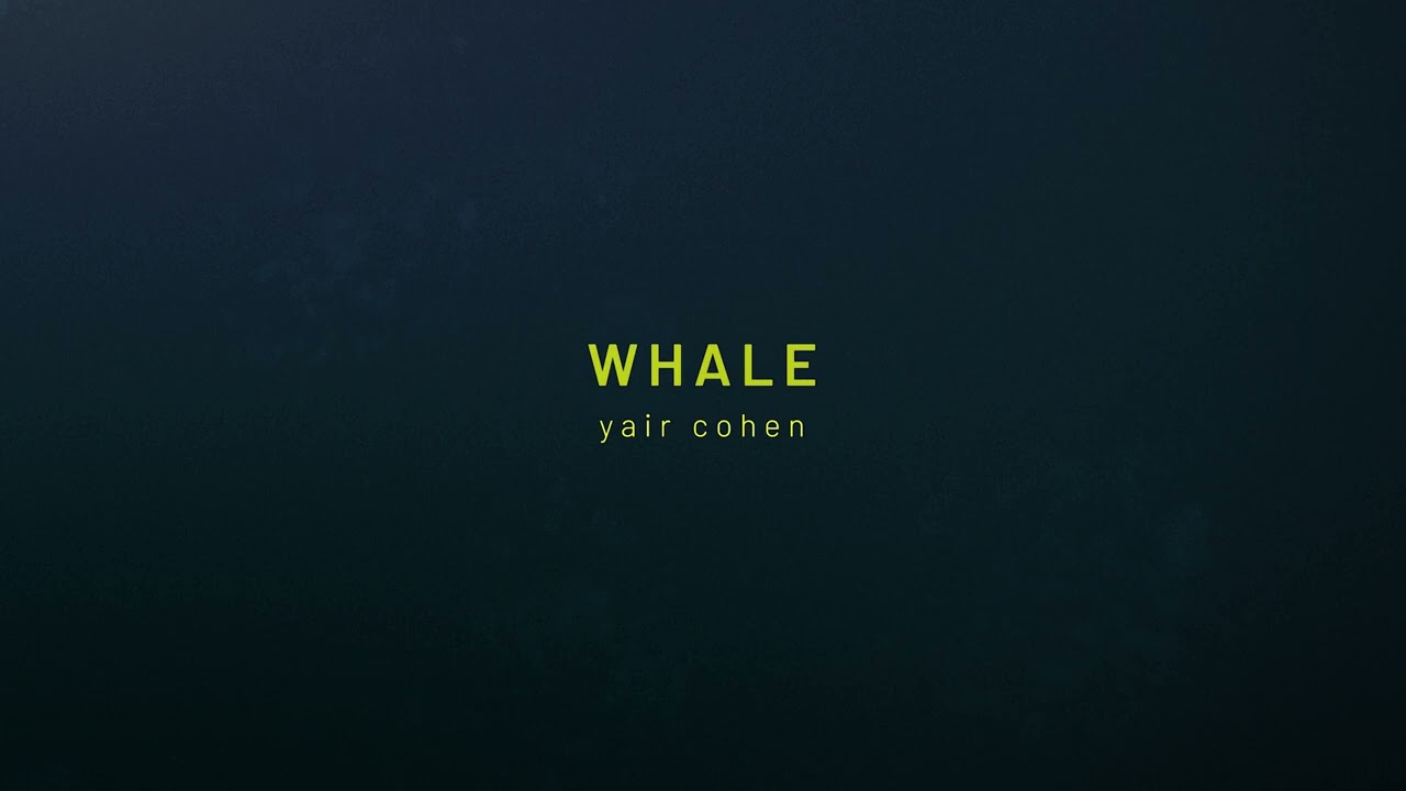 Whale - Yair Cohen