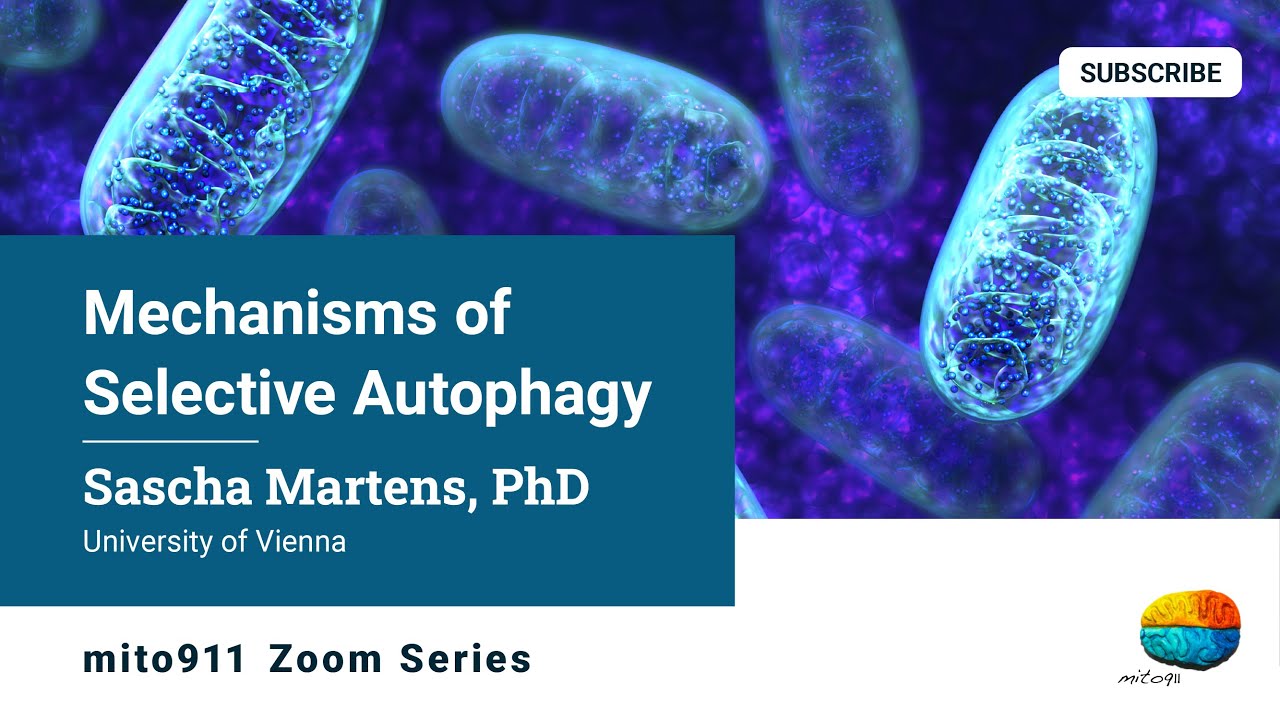 Mechanisms of Selective Autophagy