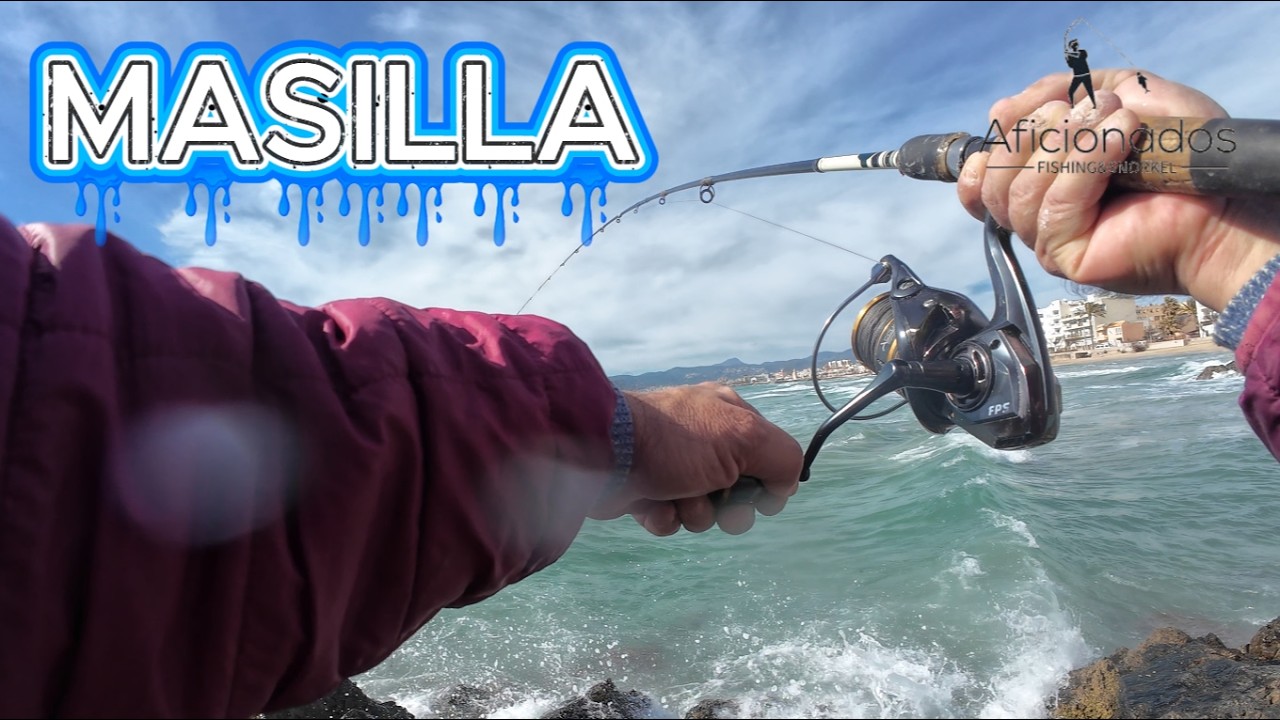 PESCA con MASILLA, 