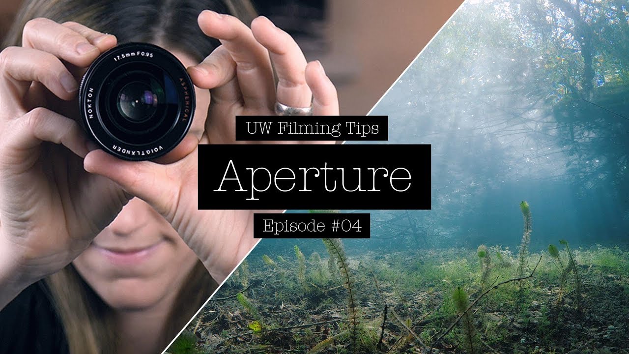 What is APERTURE? And how to USE IT CREATIVELY for Underwater Filming.
