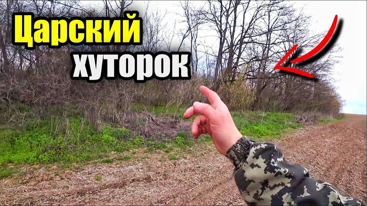 Хутор царя Николая. Nokta Makro Simplex Plus.