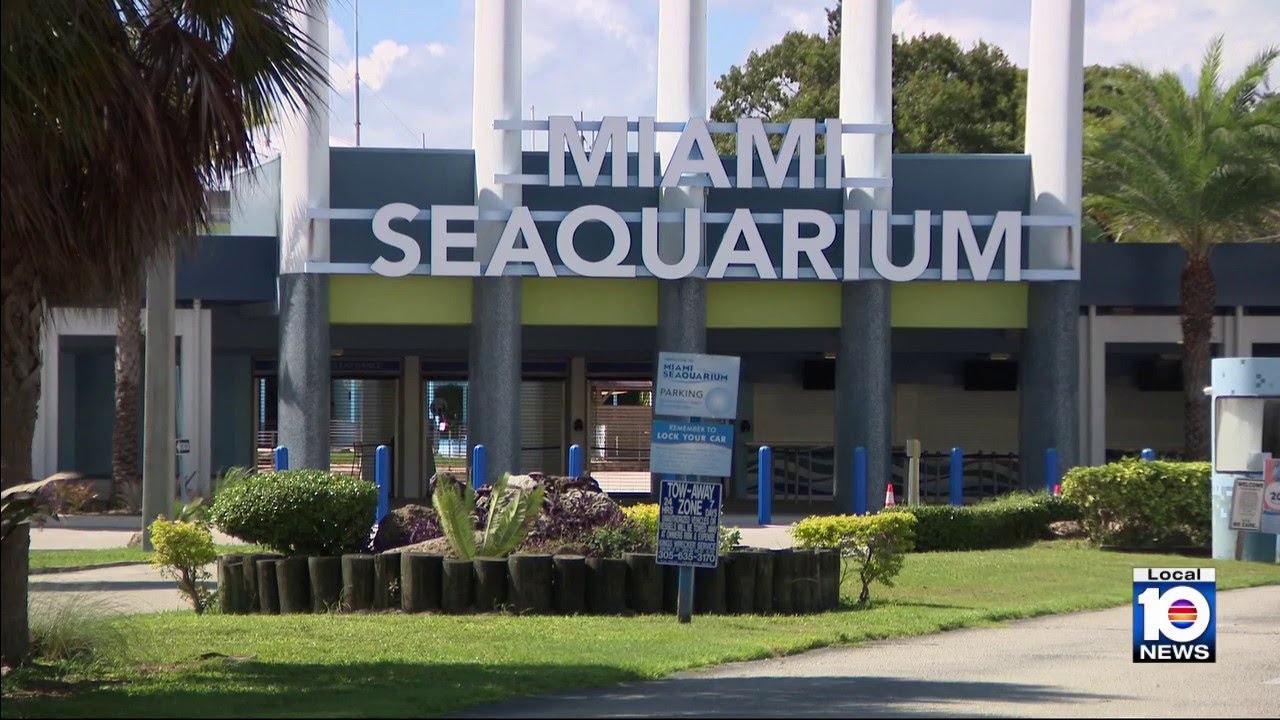 Exploring possible future for animals inside Miami Seaquarium, which is set to close in just days